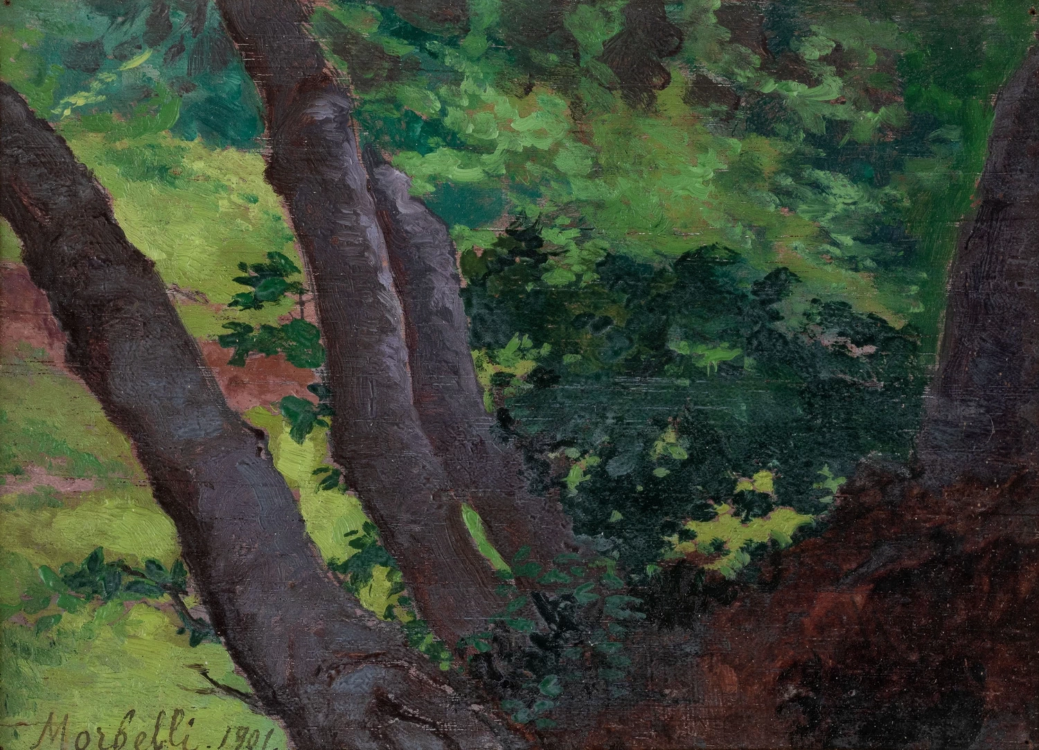 Scorcio di campagna con alberi